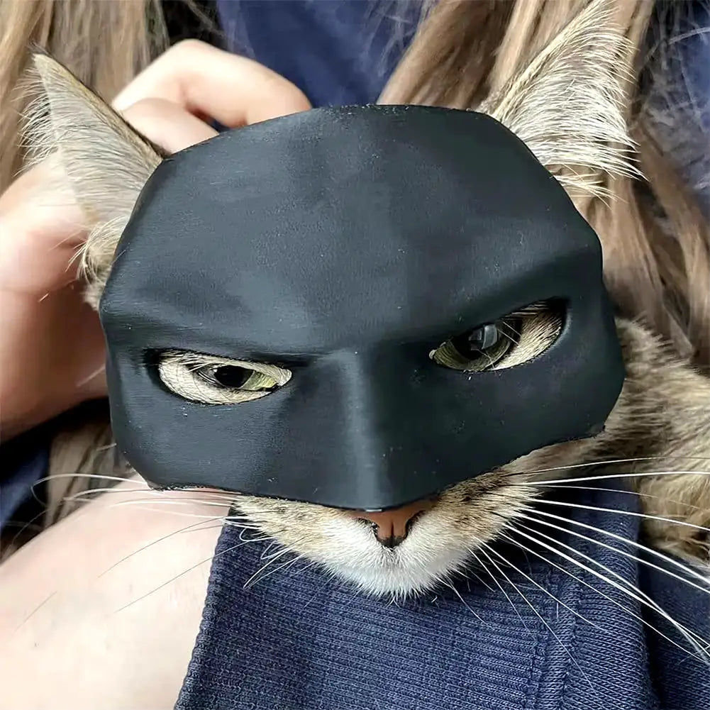 Bat Hero Cat Mask - Halloween Cosplay Accessory