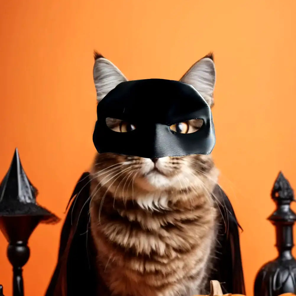 Bat Hero Cat Mask - Halloween Cosplay Accessory