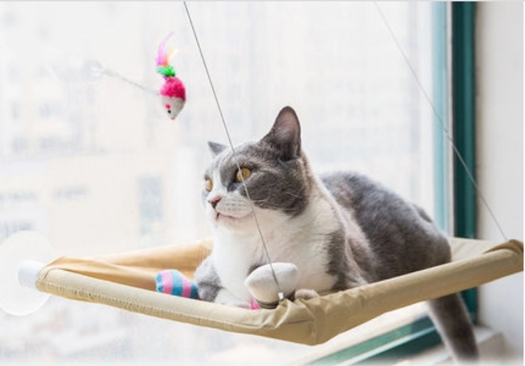 Cling & Relax Cat Window Bed
