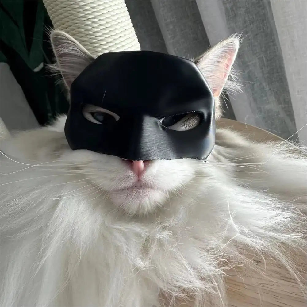 Bat Hero Cat Mask - Halloween Cosplay Accessory